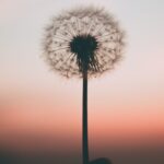 cropped aleksandr ledogorov G JJy Yv dA unsplash scaled 3