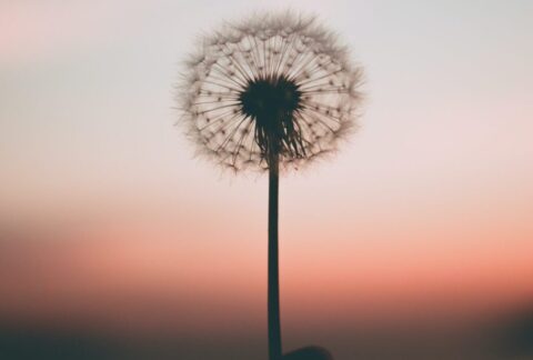 cropped aleksandr ledogorov G JJy Yv dA unsplash scaled 3