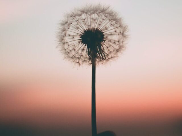 cropped aleksandr ledogorov G JJy Yv dA unsplash scaled 3