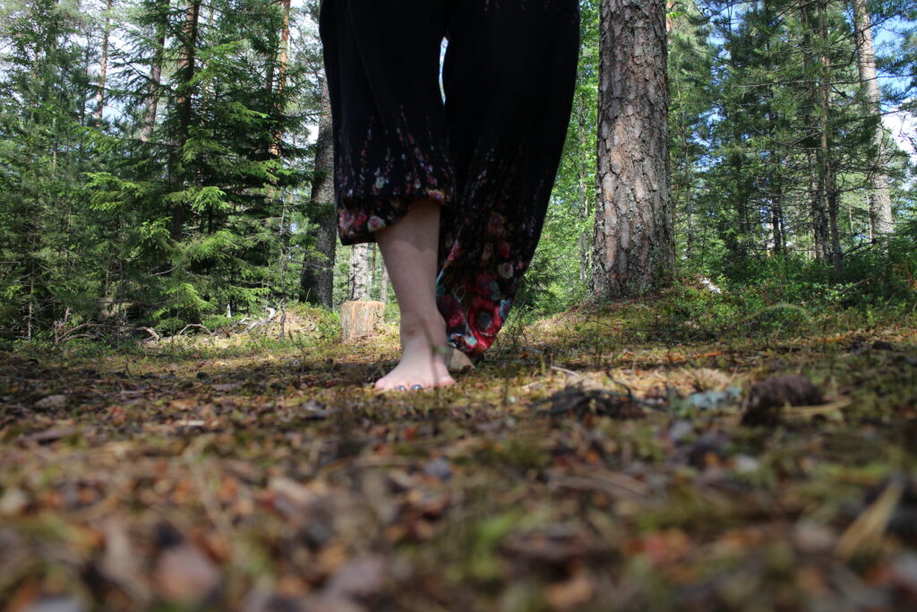 Metsäkylpy 1 Metsäkylpy